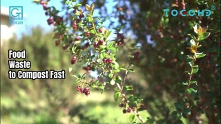 50KG Gıda Atığı Kompostu 24H Kompost